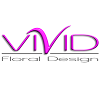 Vivid Hair & Beauty Ltd