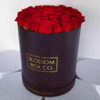 Blossom Box Co