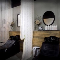 Blush Company Salon