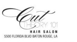 Cut Theory 101 Hair Studio