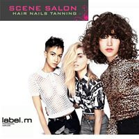 Scene Salon