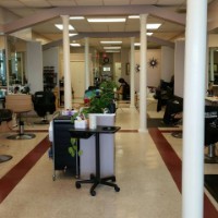 Shear Luxury Salon