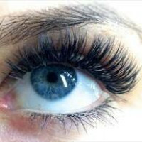 Dresser Lash