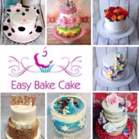 Easy Bake Cakes