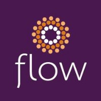 Flow The Salon