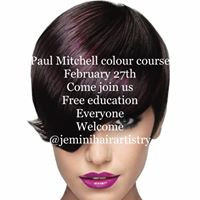 Jemini Hair Artistry