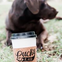 Lucky Lab Coffee Co. of Austin