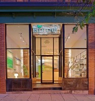 Sprout: An Organic Salon