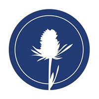 Blue Thistle Florist