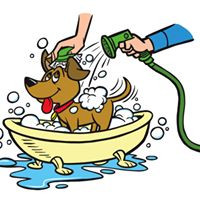 All Paws Pet Wash