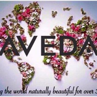 Aveda Salon Southgate Mall Missoula