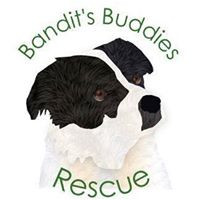 Bandit’s Buddies Rescue