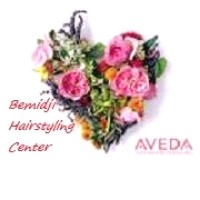 Bemidji Hairstyling Center