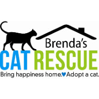 Brenda’s Cat Rescue