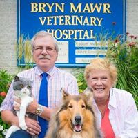 Bryn Mawr Veterinary Hospital