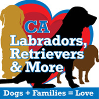 California Labradors, Retrievers & More Rescue