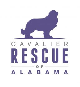 Cavalier Rescue of Alabama