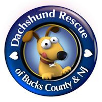 Doxie Rescue Bucks Cty & NJ