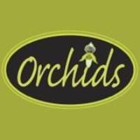 Orchids Salon and Spa