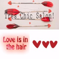 Tres Chic Salon