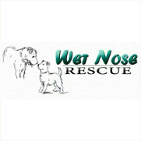 Wet Nose Rescue