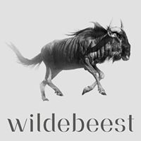 Wildebeest