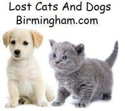 LostCatsAndDogsBirmingham.com