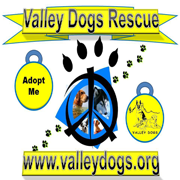 Valley Dogs Rescue – Phoenix Arizona