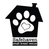 Safehaven Small Breed Rescue