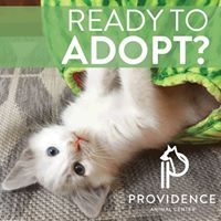 Providence Animal Center