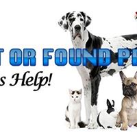 Lost and Found Pets of Barrow County.