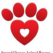 Second Chance Animal Rescue