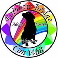 Rainbow Bridge Can Wait Animal Rescue and Adoption