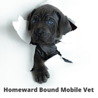 Homeward Bound Mobile Veterinary Services