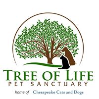 Chesapeake Cats and Dogs