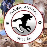 Parma Animal Shelter