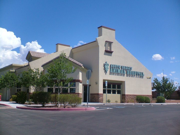 South Valley Animal Hospital