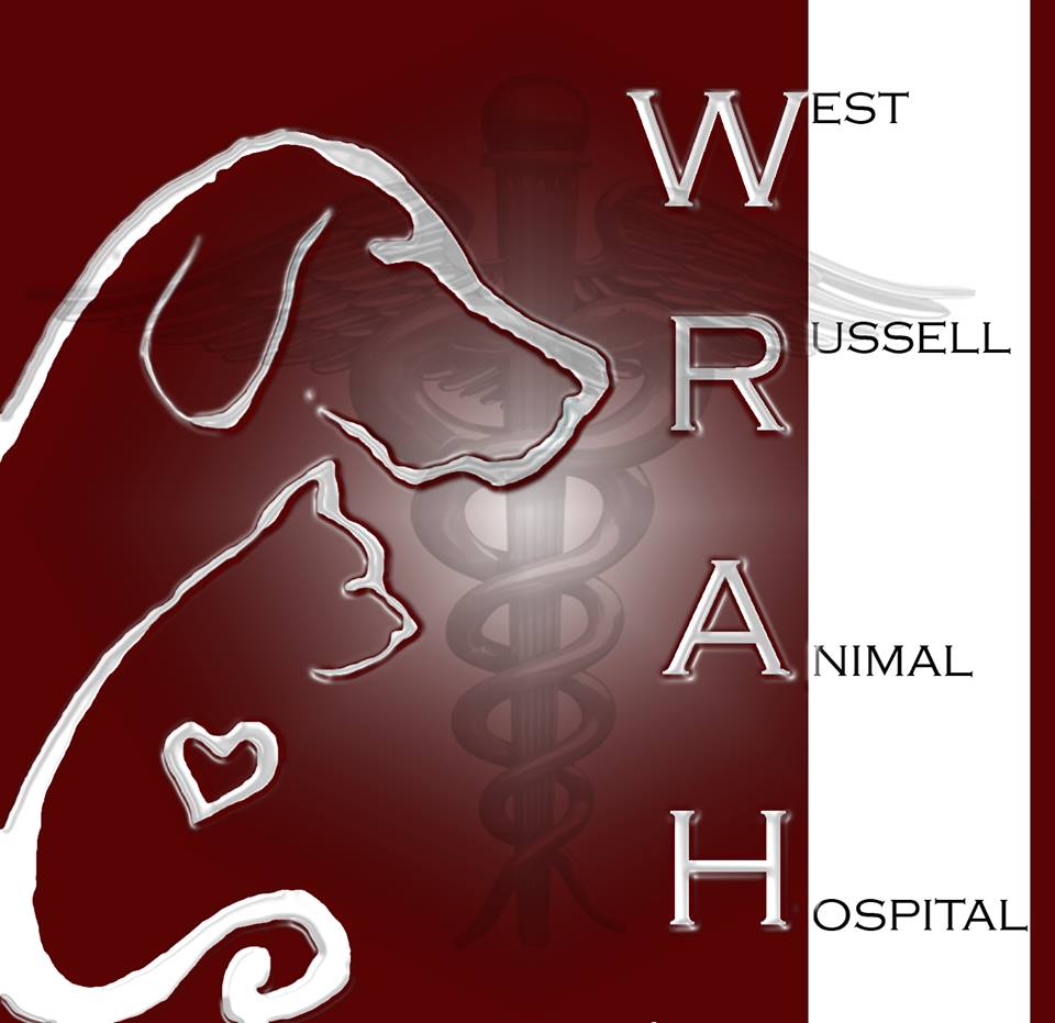 West Russell Animal Hospital