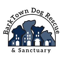 BarkTown Dog Rescue