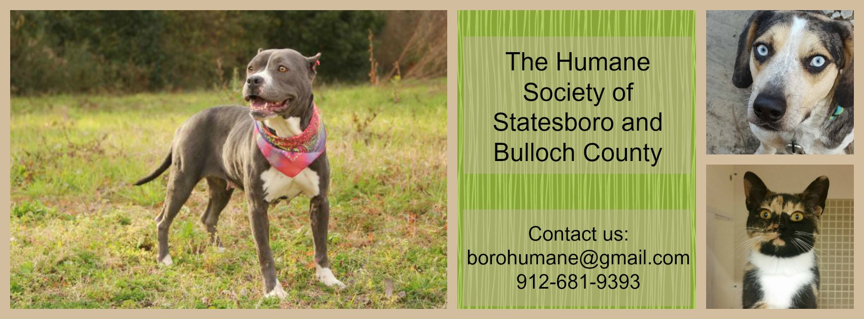 The Humane Society of Statesboro & Bulloch County, Inc.