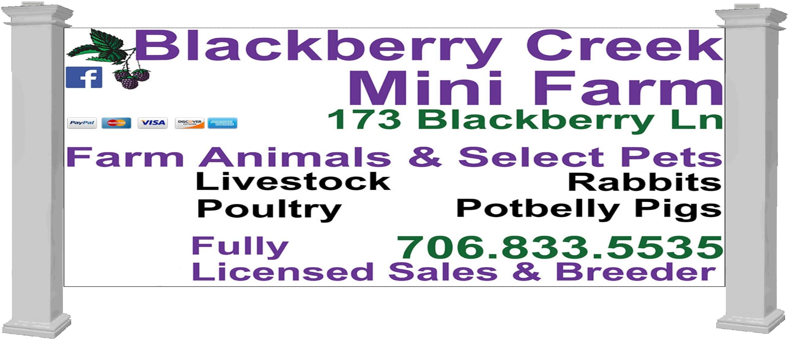 Blackberry Creek Mini Farm