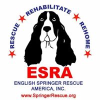 English Springer Rescue America, Inc. (ESRA)