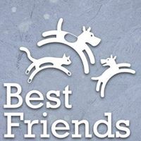 Best Friends Lansing