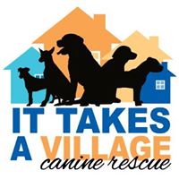 It Takes a Village No-Kill Canine Rescue