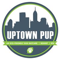 Uptown Pup