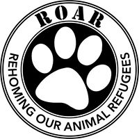 Rehoming Our Animal Refugees