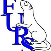 Ferrets Unlimited Rescue Services