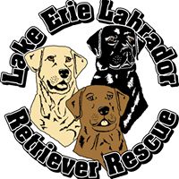 Lake Erie Labrador Retriever Rescue, Inc.