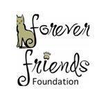 Forever Friends Foundation – Behind the Scenes and All the in Between