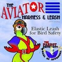 The Aviator Harness